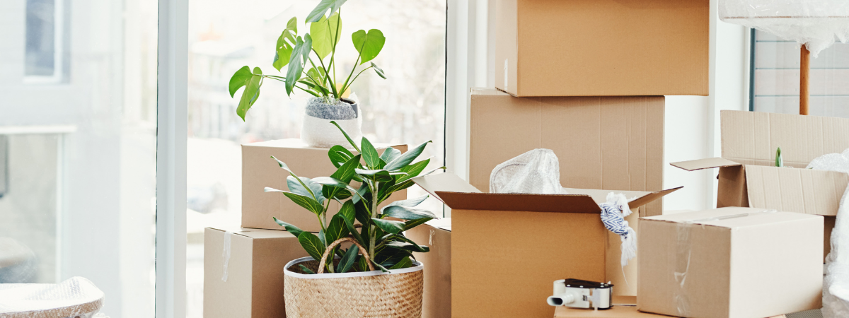 Billeder Til Bokse (600 X 225 Px) (1200 X 450 Px) (1)